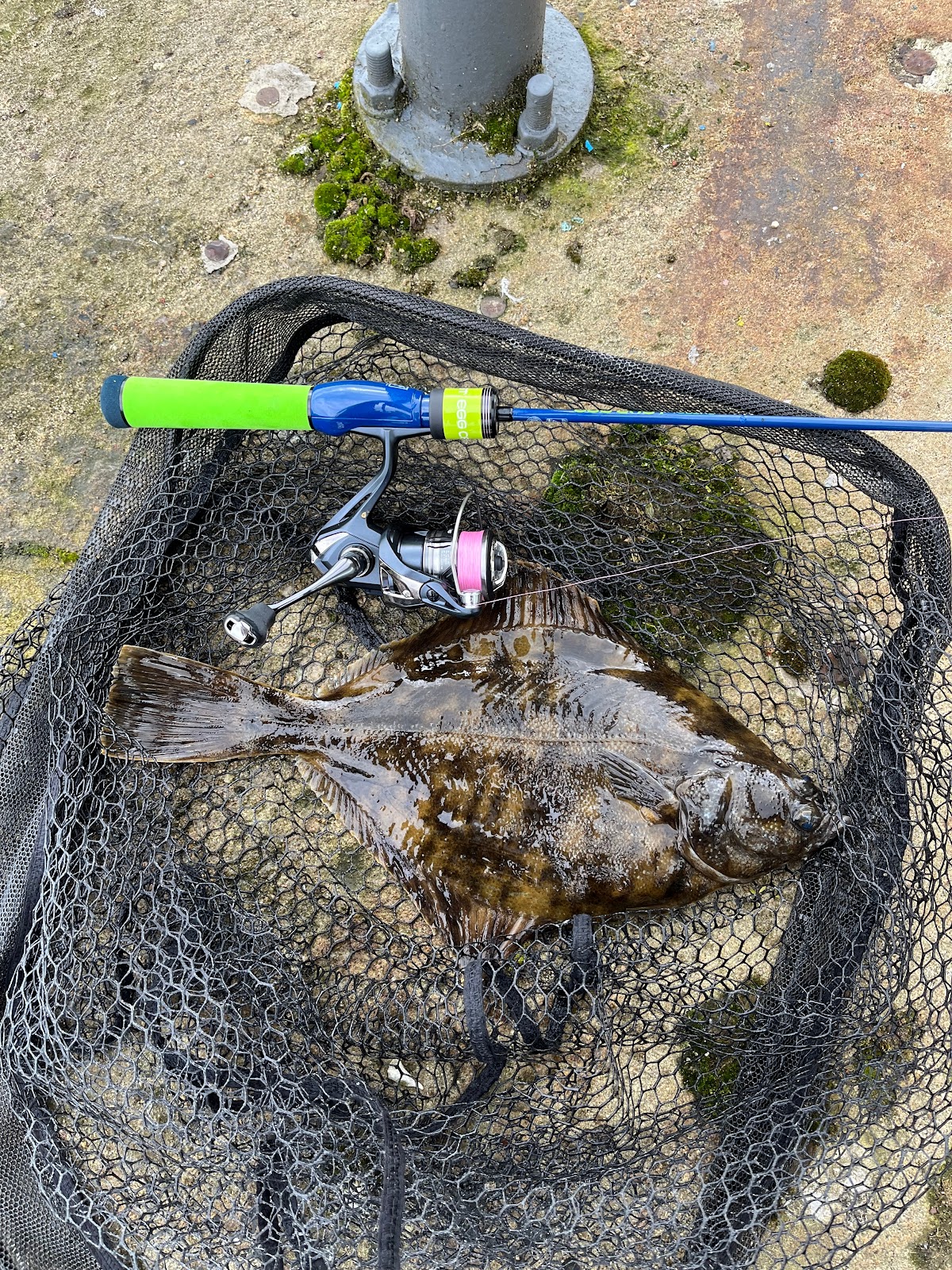 Customer Review – Jackall Eggcast Toughy Rod 1-7g – The Big Lerf