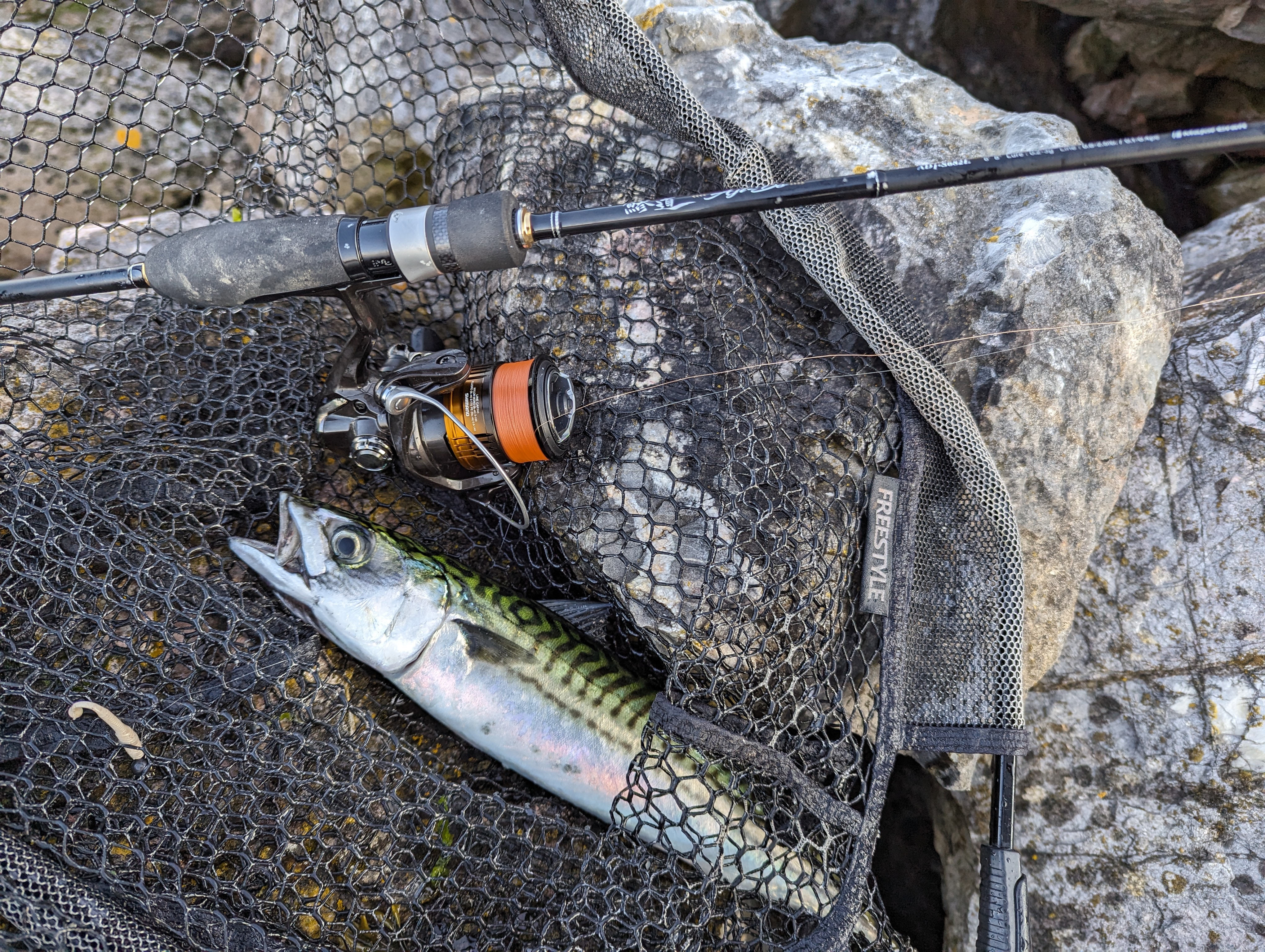 Tackle Talk – Major Craft 1G Aji-Do – The Big Lerf